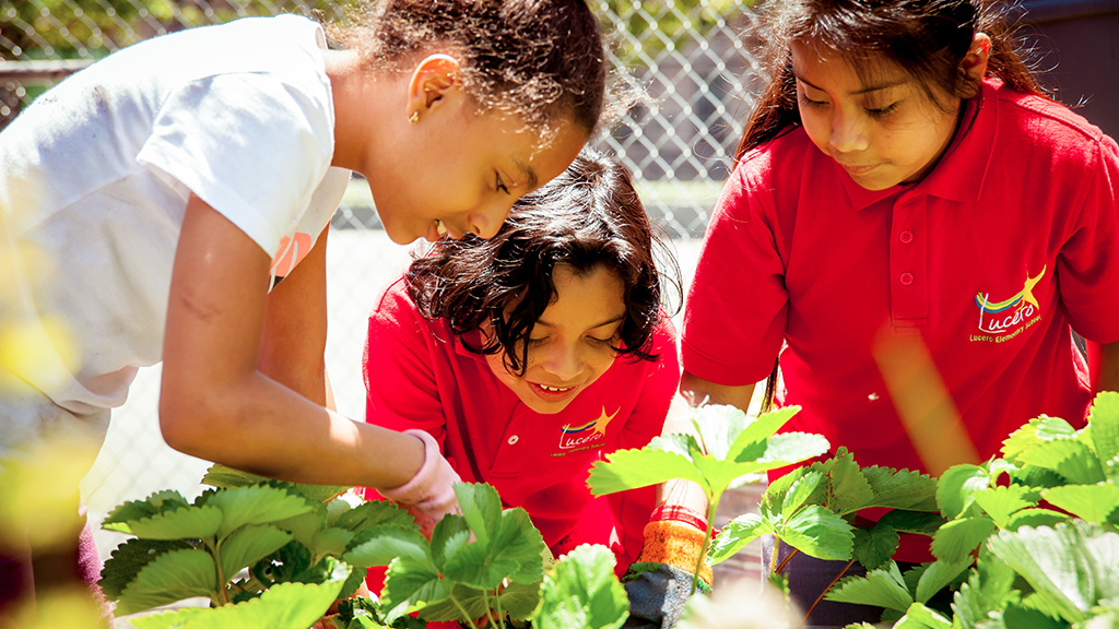 Girls examine the vegetables and herbs they are growing
